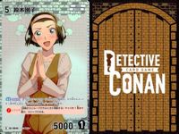 名探偵 コナン カード R まとめ 鈴木 園子 京極 真 毛利 蘭 40 209 176 0040 0209 0176 各3枚 9枚 高校生 空手家 カードゲーム キラ レア ap244 o20 _ サムネイル 4