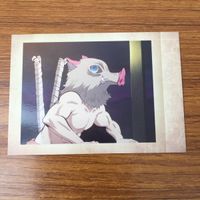 カード トレカ まとめ 鬼滅の刃 ぱしゃこれ 天元 善逸 炭治郎 伊之助 2 サムネイル 9
