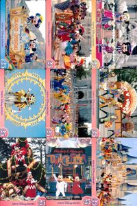 ディズニー コレクション カード まとめ 【 ★カードリスト参照 9枚 セット】 パレード 東京 ディズニーリゾート DISNEY ミッキー サムネイル 1