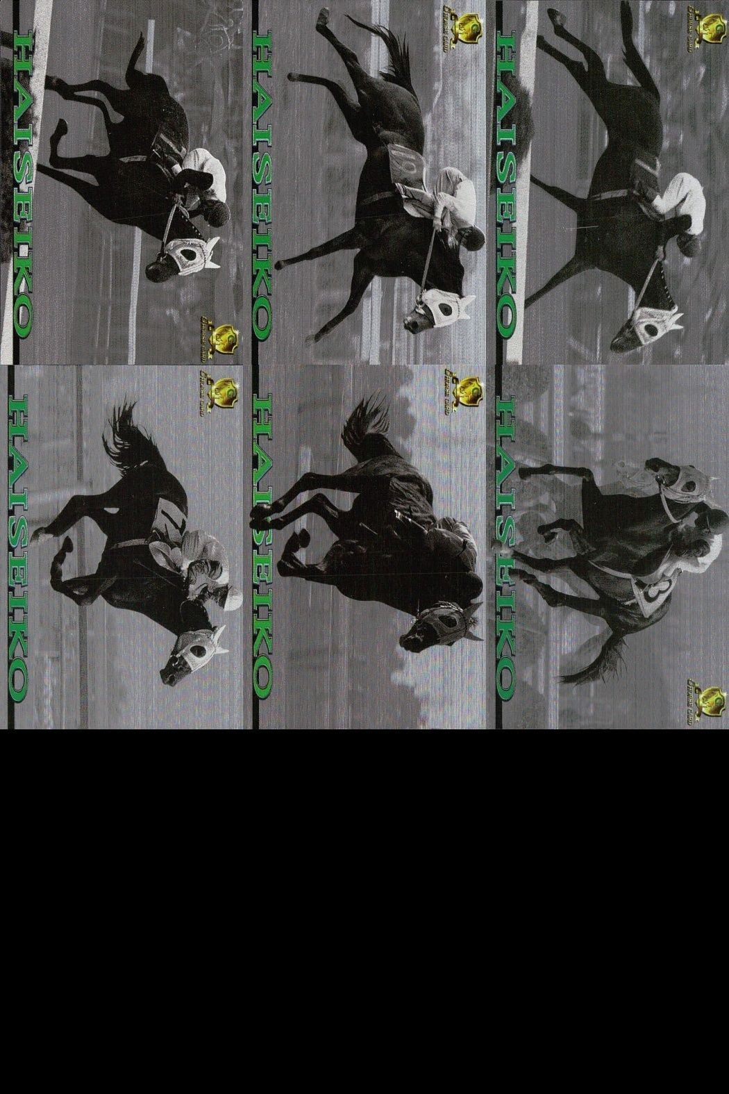 競馬 カード ハイセイコー まとめ キラ ホロ G ホースレーシング サラブレッドカード