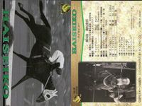 競馬 カード ハイセイコー まとめ キラ ホロ G ホースレーシング サラブレッドカード サムネイル 4
