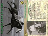競馬 カード ハイセイコー まとめ キラ ホロ G ホースレーシング サラブレッドカード サムネイル 3