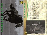 競馬 カード ハイセイコー まとめ キラ ホロ G ホースレーシング サラブレッドカード サムネイル 6