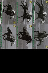 競馬 カード ハイセイコー まとめ キラ ホロ G ホースレーシング サラブレッドカード サムネイル 1