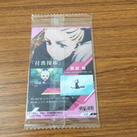 カード トレカ まとめ 呪術廻戦 虎杖 悠仁 パンダ 禪院 真希 犬巻 棘 両面 宿儺 西宮 桃 未開封 7 サムネイル 8