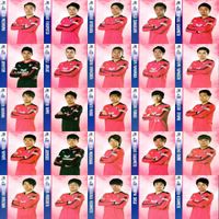 セレッソ大阪 SAKURA SPECTACLE サッカー カード まとめ 1994 クラブオフィシャルカード セミコンプ xd956 so1 サムネイル 4