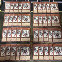 白き森のルシア 40枚 型番統一 遊戯王 まとめ ノーマル INFO