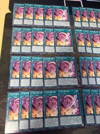 六武式襲双人 40枚 型番統一 六武衆 ノーマル まとめ 遊戯王 ROTA サムネイル 2