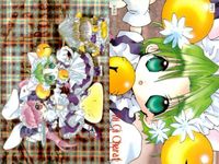 カード デ・ジ・キャラット Di Gi Charat 非売品 キラ P01 P ブロッコリー デジキャラット サムネイル 2