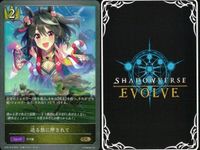 カード まとめ シャドウバース エボルヴ GR ウマ娘 はやい！うまい！はやい！ 7センチの先へ セイウンスカイ パッションチャンピオーナ！ 7センチの先へ ゴールドシチー 迫る熱に押されて パッションチャンピオーナ！ キラ サムネイル 8