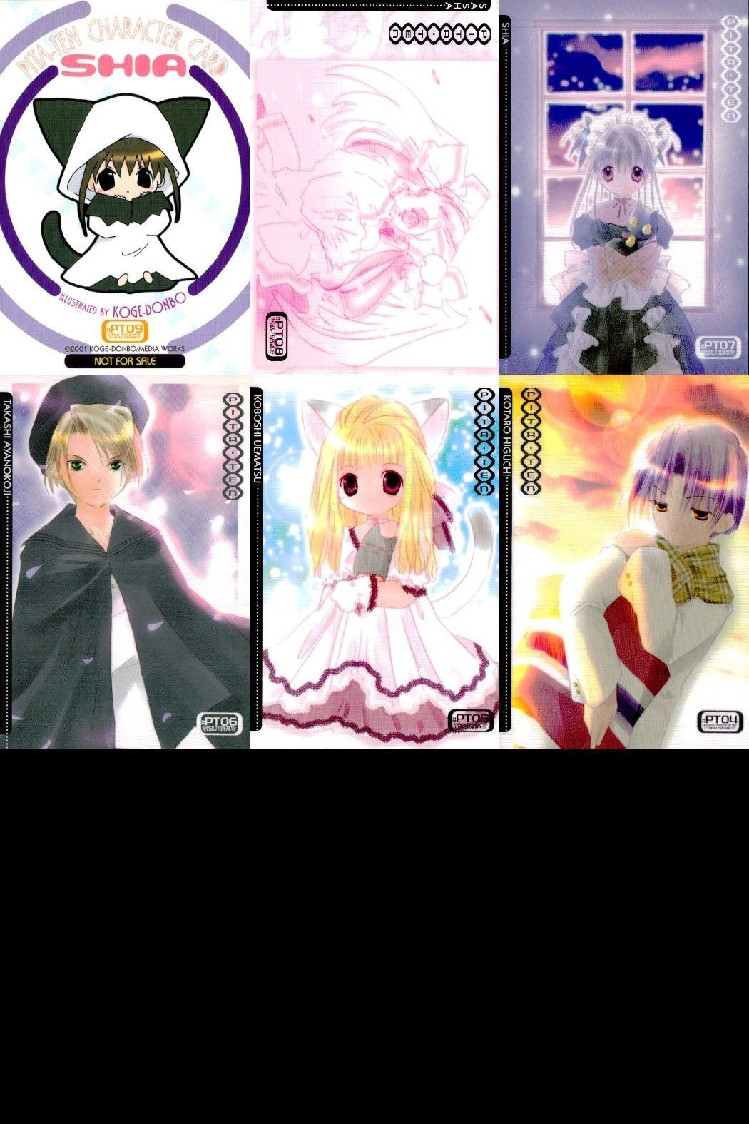 カード ぴたテン 非売品 プロモーション プロモ PT まとめ