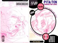 カード ぴたテン 非売品 プロモーション プロモ PT まとめ サムネイル 3