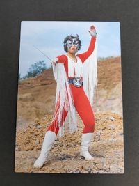 Kamen Rider Chips Card Series 5 751 Japanese Anime