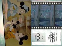 カード ディズニー トレーディング コレクション 100周年 まとめ ミッキーマウス シンデレラ リメンバー・ミー Disney ENSKY エンスカイ エンスキー サムネイル 2