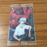 カード トレカ 新世紀 エヴァンゲリオン エヴァ 渚 カヲル 惣流 アスカ ラングレー 未開封 19 サムネイル 1