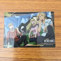 トレカ カード まとめ 鋼の錬金術師 ハガレン ロイ マスタング エドワード エルリック エド アルフォンス アル ウィンリィ 42 サムネイル 7