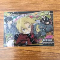 トレカ カード まとめ 鋼の錬金術師 ハガレン ロイ マスタング エドワード エルリック エド アルフォンス アル ウィンリィ 42 サムネイル 5