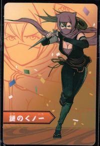 カード 【状態B】 ゲーム特典 采配のゆくえ キャラクターカード 謎のくノ一