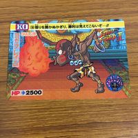 カード トレカ まとめ ストリートファイター ダルシム ブランカ 春麗 バルログ 隆 サガット 26 サムネイル 7
