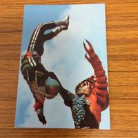 仮面ライダー カード まとめ 9 サムネイル 3