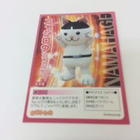 トレーディングカード カード マイナーカード 非売品 レア キラ プロモ アニメ 美少女 ゲーム ゆるトレカ ラッキーマン サムネイル 2