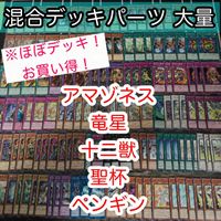 ほぼデッキ！ 混合デッキパーツ 大量 闇竜星 ジョクト 竜星の九支 まとめ 遊戯王 構築済みデッキ kwq19 20