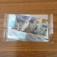 トレカ カード まとめ Re ゼロ から始める異世界生活 エミリア レム ナツキ スバル 鉄の牙 4 サムネイル 8