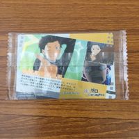トレカ カード まとめ Re ゼロ から始める異世界生活 エミリア レム ナツキ スバル 鉄の牙 4 サムネイル 10