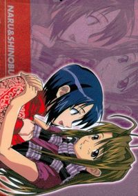 カード ラブひな 激レア 美少女 ブロッコリー SSP 4 キラ