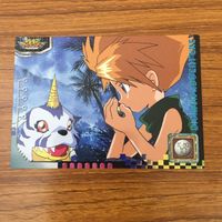 カード トレカ まとめ デジモン アドベンチャー アマダ 負けるなグレイモン いい音色だね でっ でたー 55 サムネイル 7