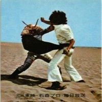 【状態C-D】246 280 265 129 仮面ライダー 旧カルビー 他27局 カード まとめ サムネイル 4