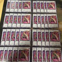 Yu-Gi-Oh Shinmabutsushu Enishi ROTA-JP040 40pcs Card Lot