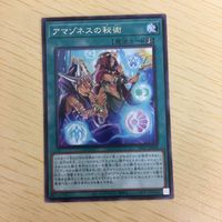 遊戯王 字レア カード トレーディングカード アマゾネスの秘術 まとめ サムネイル 5