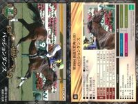 Horse Racing Card Lot Epoch 2017 Thoroughbred Vintage Japanese サムネイル 8