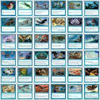 英語版のみ 第7版 7ED 白枠 被り無しコレクション フルコンプ コンプリート 旧枠 まとめ レア 大量 MTG nvq68 4 EN サムネイル 5