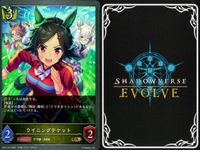 カード まとめ シャドウバース エボルヴ GR ウマ娘 ナイスネイチャ ゴールドシチー おどれ・さわげ・フェスれ！ 迫る熱に押されて イワノディクタス ウイニングチケット 7センチの先へ イワノディクタス その背中を越えて キラ サムネイル 7