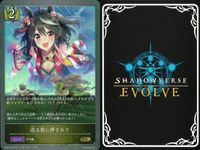 カード まとめ シャドウバース エボルヴ GR ウマ娘 ナイスネイチャ ゴールドシチー おどれ・さわげ・フェスれ！ 迫る熱に押されて イワノディクタス ウイニングチケット 7センチの先へ イワノディクタス その背中を越えて キラ サムネイル 5