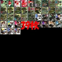 Owner's Horse Yusyun no Mon Card Lot Rare Kira