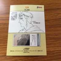 鋼の錬金術師 ハガレン カード トレカ カードダスマスターズ まとめ スカー 5 サムネイル 8