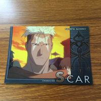 鋼の錬金術師 ハガレン カード トレカ カードダスマスターズ まとめ スカー 5 サムネイル 9