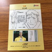 鋼の錬金術師 ハガレン カード トレカ カードダスマスターズ まとめ スカー 5 サムネイル 10