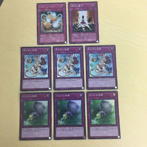 遊戯王 スーパーレア カード トレーディングカード リターンソウル 復活の墓穴 早すぎた帰還 のどかな埋葬 まとめ