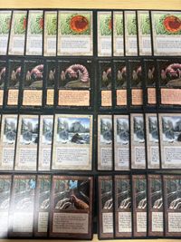 MTG Magic Ice Age English EN 40 Cards Collection Lot