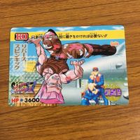 カード トレカ まとめ ストリートファイター ブランカ ダルシム バイソン 春麗 バルログ 24 サムネイル 9