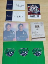 働く人応燕シリーズ 名刺 高橋奎二 宮本丈 選手 名刺カード 燕プロジェクト カード 杉浦享 クリアカード 内山 記念カード サムネイル 2