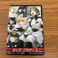 ガンダム SEED DESTINY カード まとめ デストロイ ガンダム ルナマリヤ ホーク 8 サムネイル 7