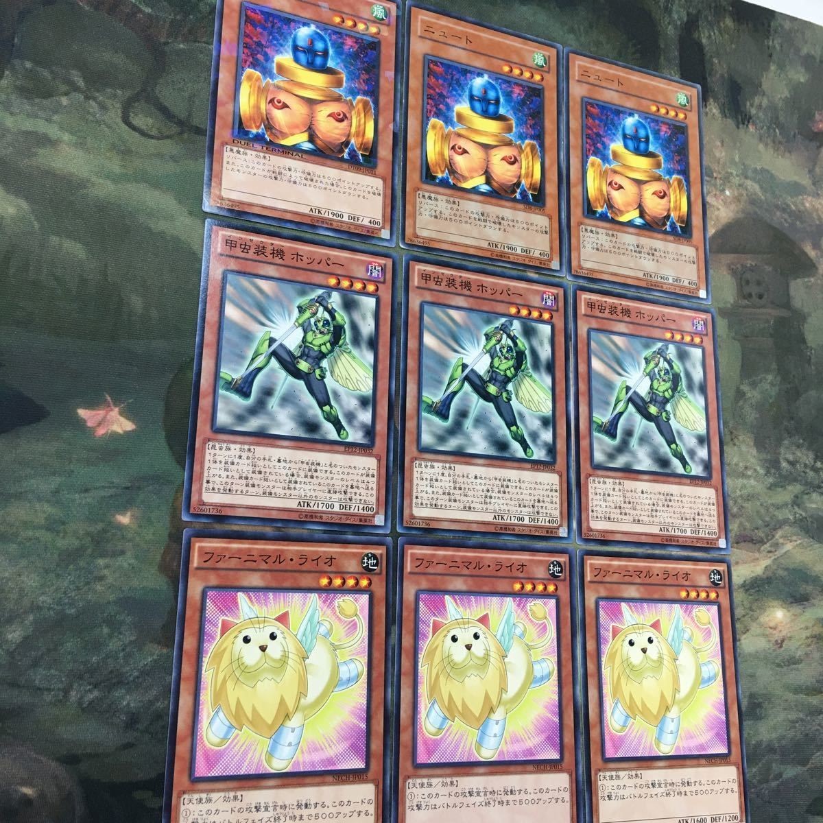 遊戯王 カード まとめ ニュート 14