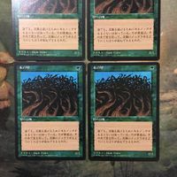 MTG マジックザギャザリング カード まとめ 4ED 木の壁/Wall of Wood 4枚セット 122 サムネイル 2