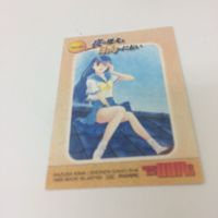 トレーディングカード カード マイナーカード 非売品 レア キラ プロモ アニメ 美少女 ゲーム 夜の燈火と日向のにおい 夜 サムネイル 3