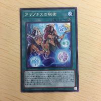 遊戯王 字レア カード トレーディングカード アマゾネスの秘術 まとめ サムネイル 3